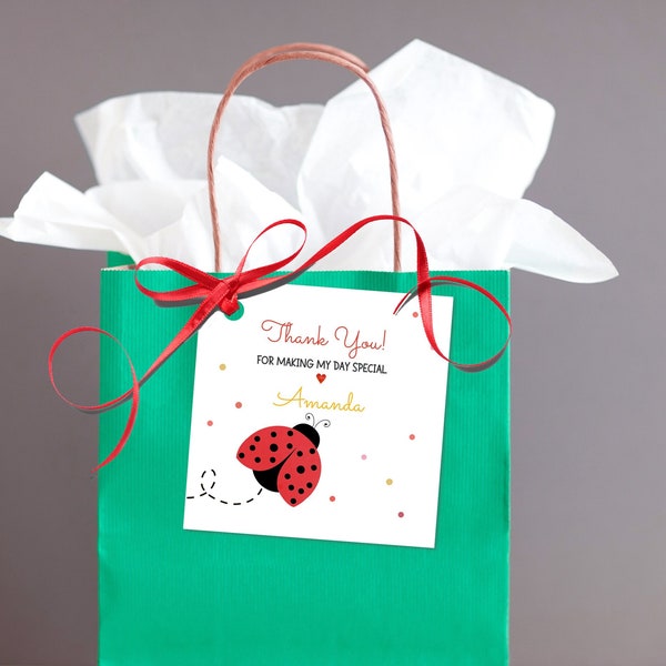 Ladybug Favor Bags - Etsy