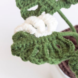 Crochet monstera pot, amigurumi monstera decor, forever monstera pot, crochet monstera pot, handmade monstera pot, monstera plant home decor