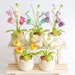 see more listings in the Flowers in pot section