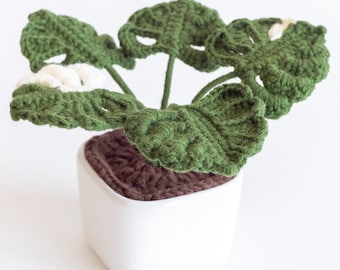 Crochet monstera pot, amigurumi monstera decor, forever monstera pot, crochet monstera pot, handmade monstera pot, monstera plant home decor