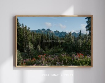 Mt.Rainier Nationalpark Wildblumenwiese