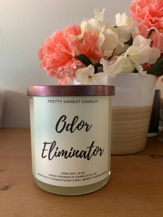 Odor Eliminator Candle Natural Candles Soy Candle Vegan Etsy