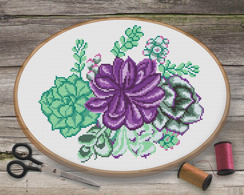 Succulent Cross Stitch Pattern Succulents Composition Etsy