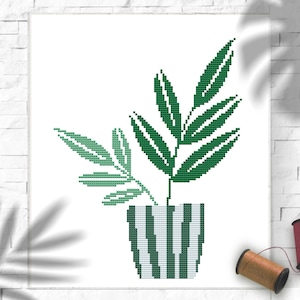 May include: A green potted plant with striped white and green pot. The plant has two sets of leaves, one set is a darker green and the other is a lighter green.