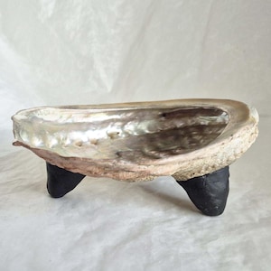 Attractive large abalone shell trinket tray, sits on 3 black legs, ideal for trinkets or jewellery-14.5cm long