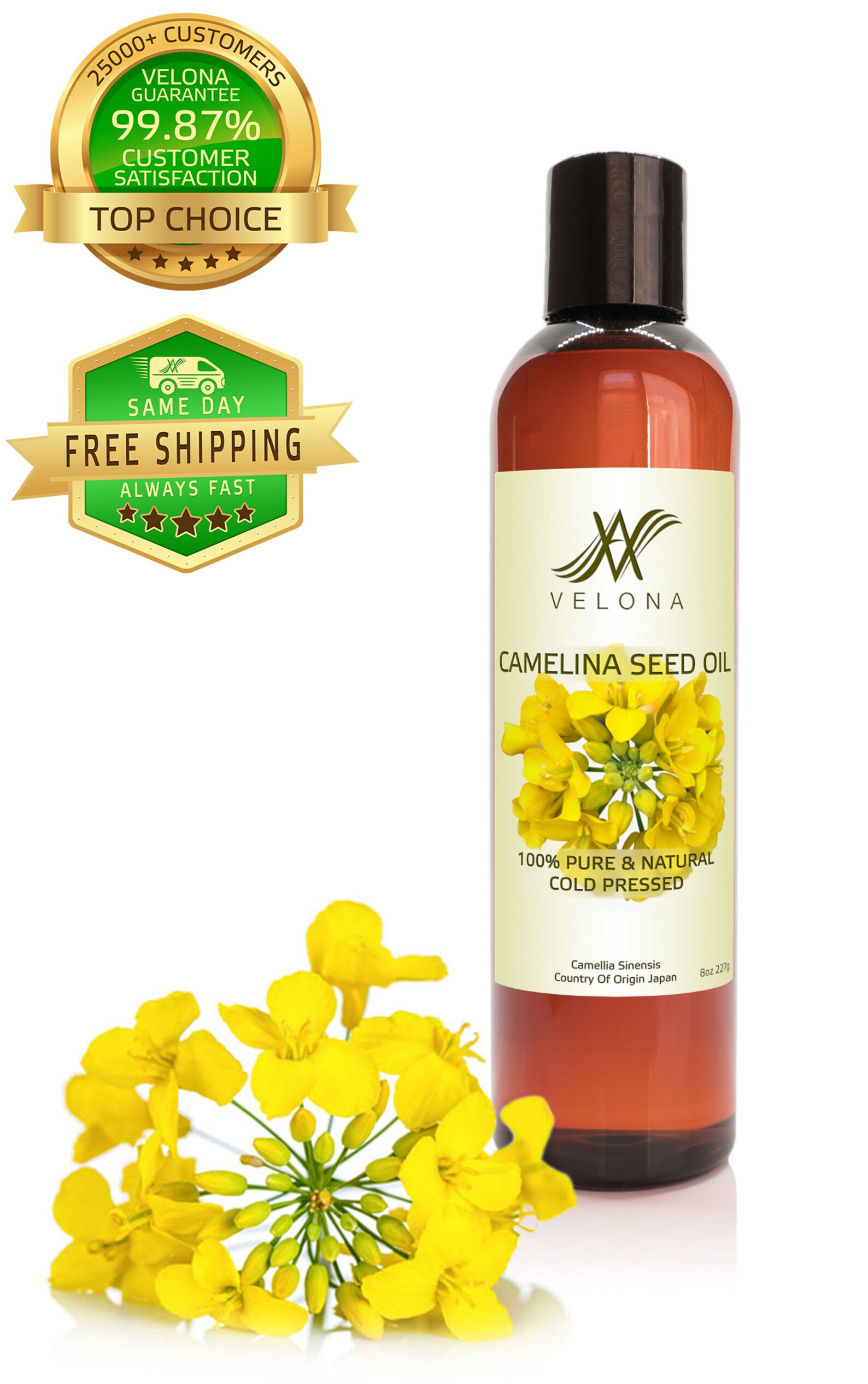 Camelina Seed Oil by Velona 2 oz 7 lb 100 Pure and Natural Etsy