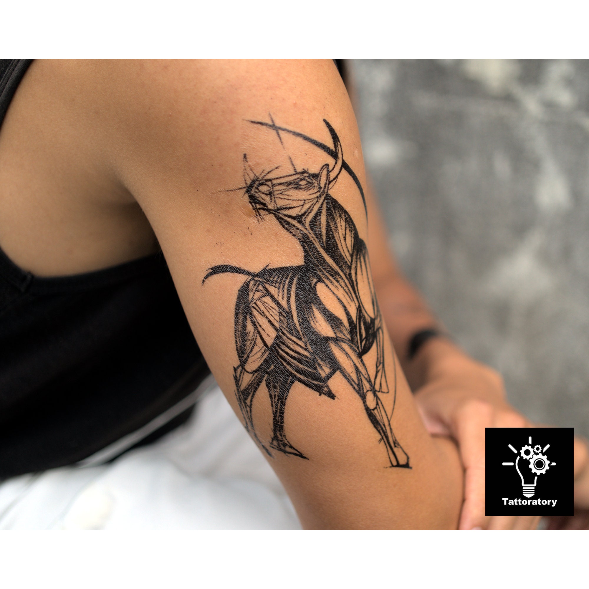 Set of Black Bull Tattoo Vector Design Graphic by Arief Sapta Adjie   Creative Fabrica