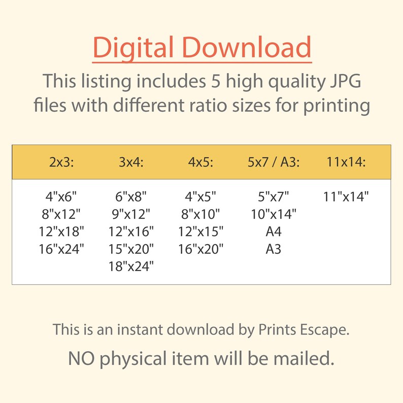 Dont Make Your Excuses More Important Than Your Dreams, Motivational