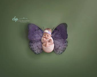 Newborn Butterfly Digital Background/Backdrop For Photographers