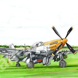 Puede incluir: Un avión de combate P-51 Mustang negro, blanco y naranja con las palabras "Ferocious Frankie" pintadas en el lateral. El avión está en un campo de hierba con un cielo azul de fondo.
