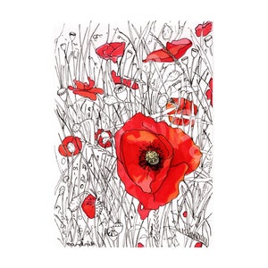 Limited Edition Print of a Pen and Ink drawing of Poppies - With Frame