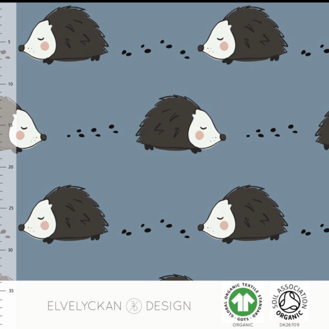 elvelyckan hedgehog