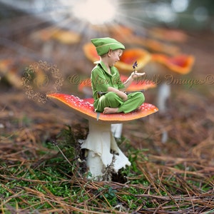 Toadstool Digital Backdrop Background Fantasy Fairy Elf - Etsy
