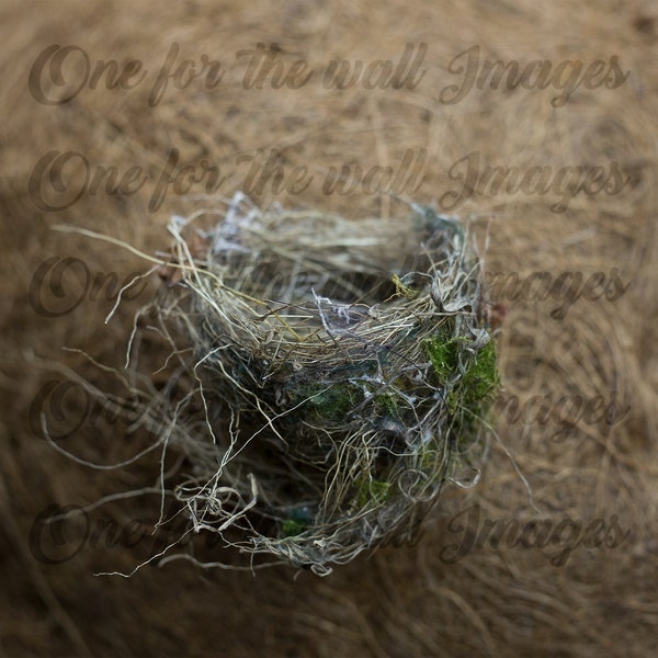 Digital Nest Backdrop perfect for Newborn Composites