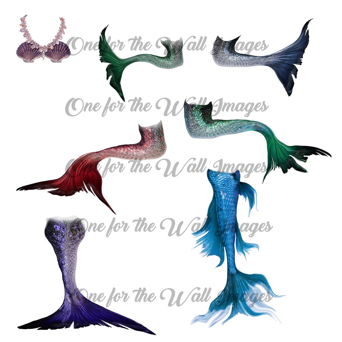 Mermaid Tail Png Transparent Background Overlay -  Canada
