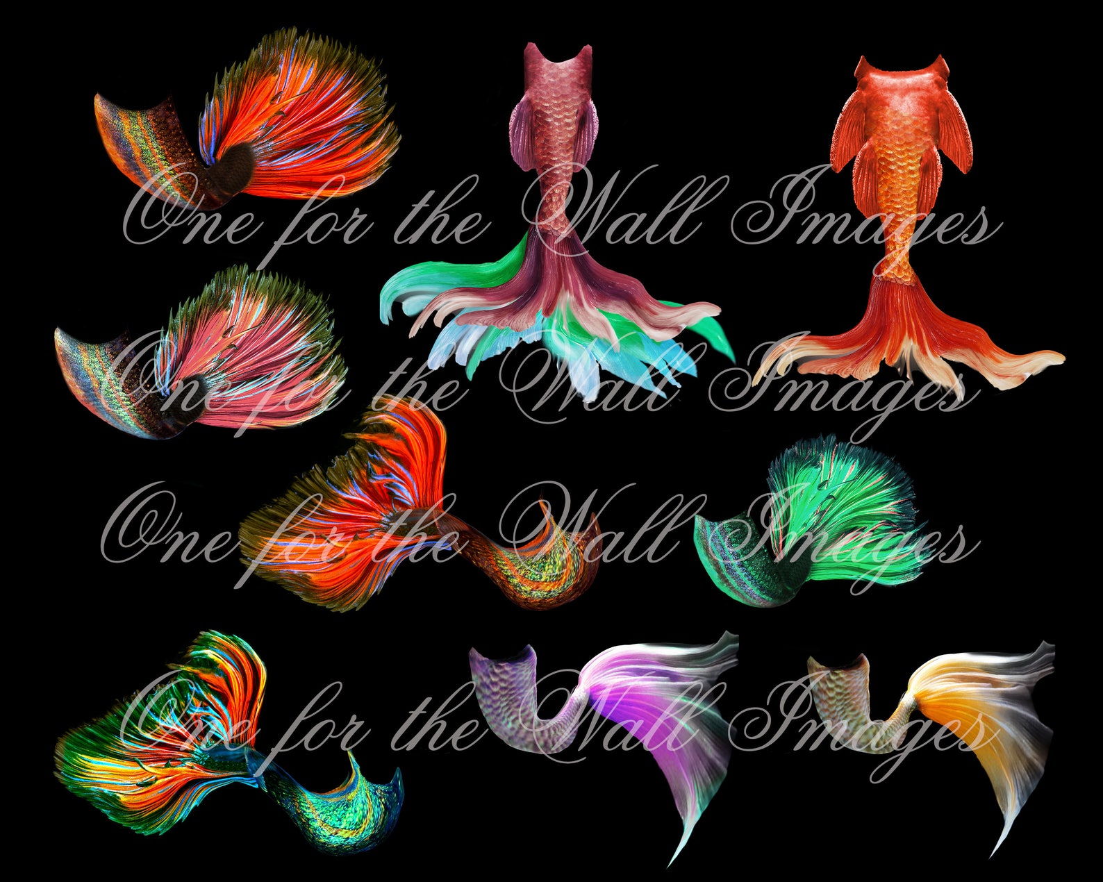 Mermaid Tail, Fantasy Overlay 9 Tails on Transparent Background for Use