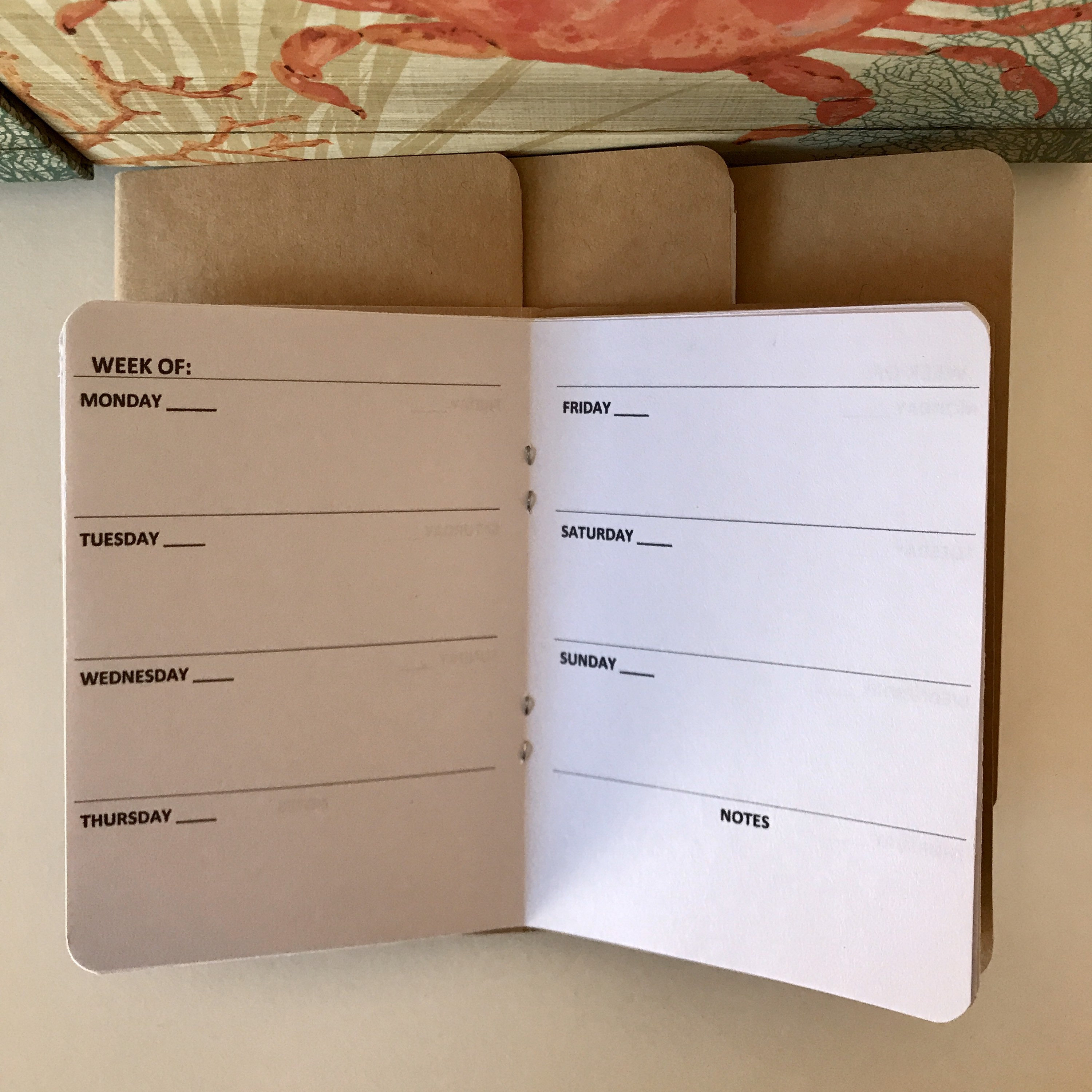 Travelers Notebook Calendar 2025 