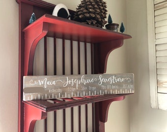 Birth Statistics Ruler/ Newborn Stats Sign