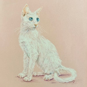 May include: A white cat with blue eyes sits on a light pink background. The cat is looking to the right of the image. The artist's signature is in the bottom right corner of the image. The text "Paysanne white - 1937" is in the bottom left corner of the image.