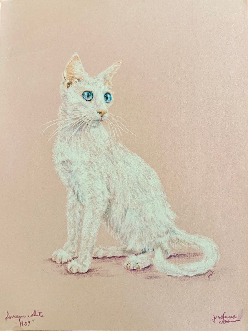 May include: A white cat with blue eyes sits on a light pink background. The cat is looking to the right of the image. The artist's signature is in the bottom right corner of the image. The text "Paysanne white - 1937" is in the bottom left corner of the image.