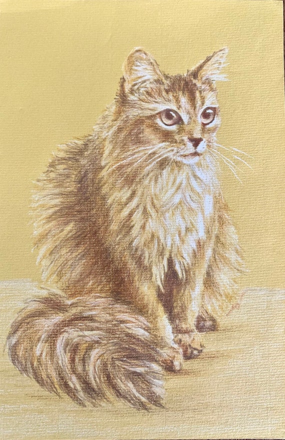 Signed Vintage Cat Art Bundle: 7 Unframed Feline Renderings