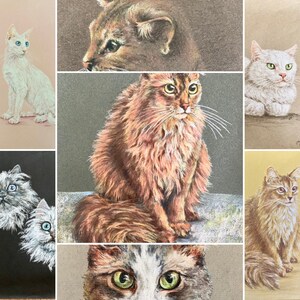 May include: A collection of nine pencil drawings of cats. The drawings are in various styles and feature different breeds of cats, including a tabby, a calico, and a Siamese.