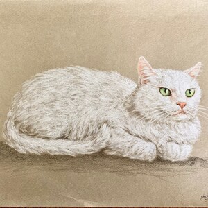 May include: A white cat with green eyes is lying down on a brown background. The cat is looking to the right of the image. The image is signed "White cat '1972" and "Joelle Crowe".