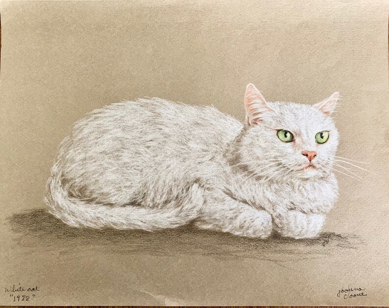 May include: A white cat with green eyes is lying down on a brown background. The cat is looking to the right of the image. The image is signed "White cat '1972" and "Joelle Crowe".