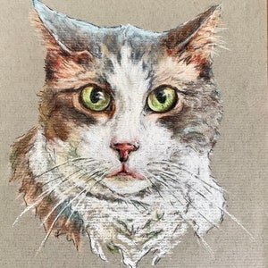 May include: A hand-drawn illustration of a cat with green eyes, white fur, and brown and grey markings. The cat is looking directly at the viewer with a slightly surprised expression.
