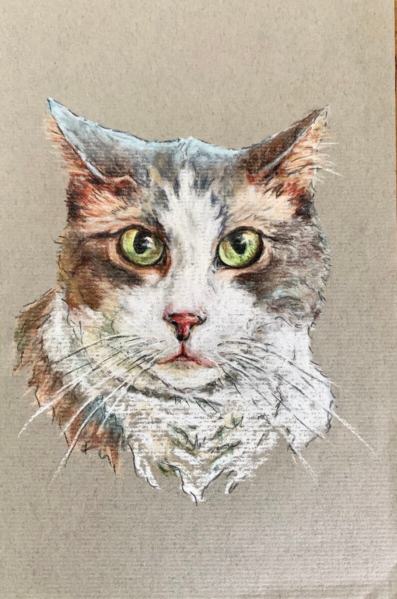 May include: A hand-drawn illustration of a cat with green eyes, white fur, and brown and grey markings. The cat is looking directly at the viewer with a slightly surprised expression.
