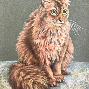 May include: A brown and white long-haired cat with green eyes sits on a white surface. The cat has a fluffy tail and is looking to the right.