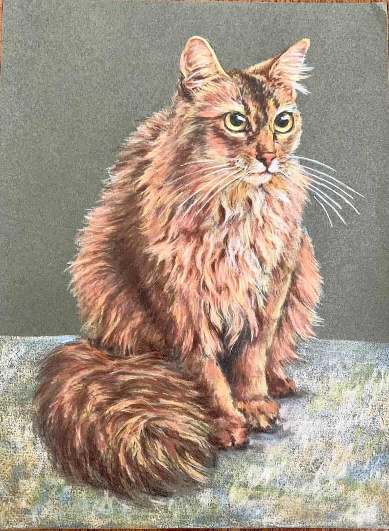 May include: A brown and white long-haired cat with green eyes sits on a white surface. The cat has a fluffy tail and is looking to the right.
