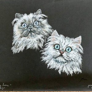 May include: A black and white drawing of two fluffy white cats with blue eyes. The cats are looking up at the viewer. The drawing is signed "Morley Jaen" and "1989".