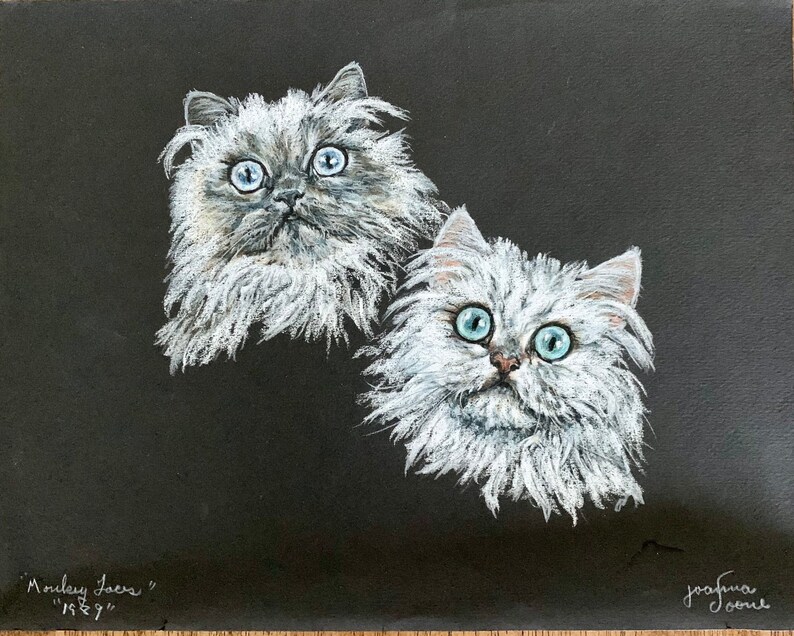 May include: A black and white drawing of two fluffy white cats with blue eyes. The cats are looking up at the viewer. The drawing is signed "Morley Jaen" and "1989".