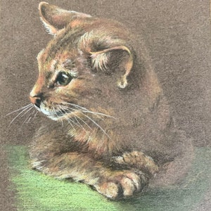 May include: A brown tabby cat with green eyes is lying down on a green surface. The cat is looking to the left of the image.