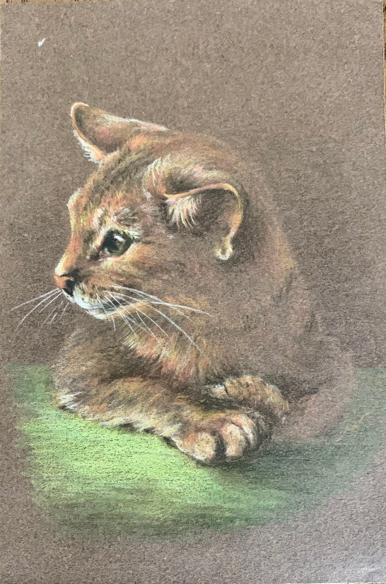 May include: A brown tabby cat with green eyes is lying down on a green surface. The cat is looking to the left of the image.