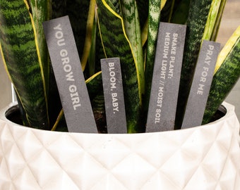 Funny Plant Tags | Slate Planter Stakes Engraved Witty Sassy Garden Marker | Unique Gift Gardener Plants Planter