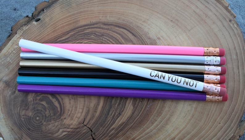 CAN YOU NOT Pencil Funny Unique Pencil Motivational Office Supplies