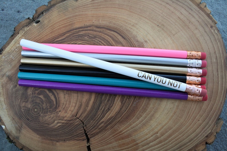 CAN YOU NOT Pencil Funny Unique Pencil Motivational Office Supplies