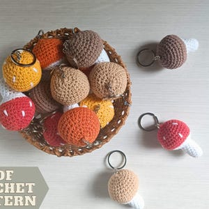 Crochet pattern keychain Mushroom,  PDF easy follow no-sew instruction amigurumi Fly Agaric as gift for Mushroom picker
