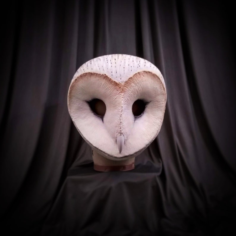 Barn Owl Gifts Barn Owl Art Barn Owl Mask Custom Mask Owl Etsy