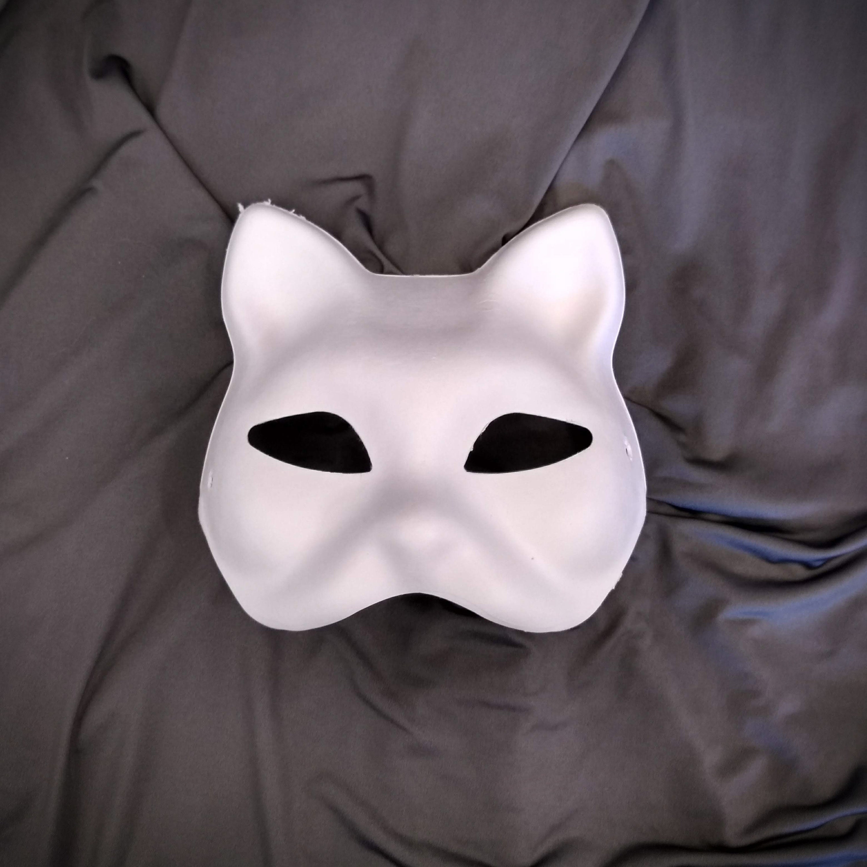 Bricolage papier blanc masque renard chat visage pâte vierge peint