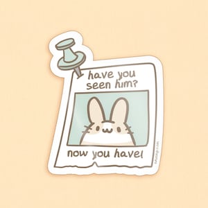 Funny Bunny Meme Sticker | Waterproof & Weatherproof | Dutch rabbit decal for car, water bottle, or laptop |  Kawaii aesthetic stationery