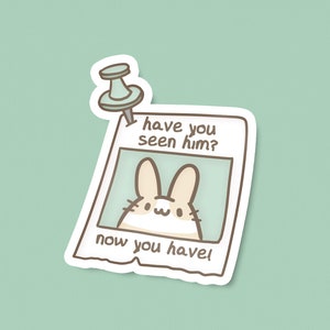 Have You Seen Him Vinyl Fridge Magnet | 3&quot; | Cute office decor, Locker accessory, Back to school gift, Kawaii bunny art, Funny meme present