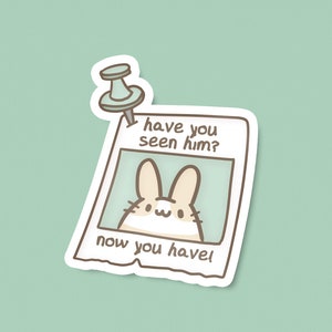 Have You Seen Him Vinyl Magnet | 3" | Kawaii kitchen, Office supplies, Bunny locker magnet, Cute rabbit fridge decor, Anime die cut magnet