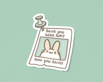 Have You Seen Him Vinyl Fridge Magnet | 3" | Cute office decor, Locker accessory, Back to school gift, Kawaii bunny art, Funny meme present