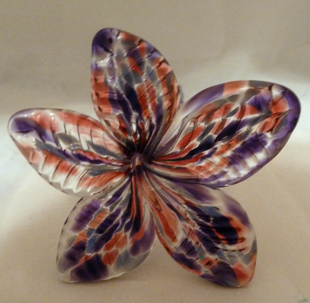 Flower That Never Dies Pink, Purple and Blue Etsy