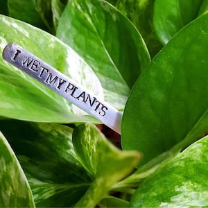Marcadores de plantas con sello de mano, identificación de plantas, mojo mis plantas, You Grow Girl, Rooting for You, Plant Mom, Cactus Gift, Plant Gifts, Engraved Plant