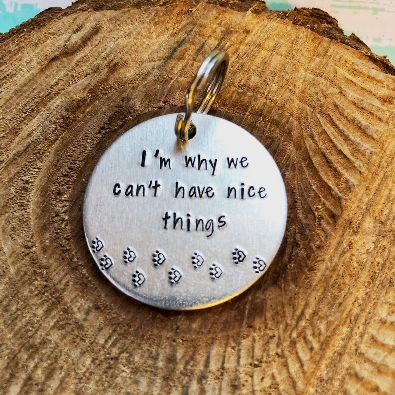 26 Custom Pet Tags Near Me Photography