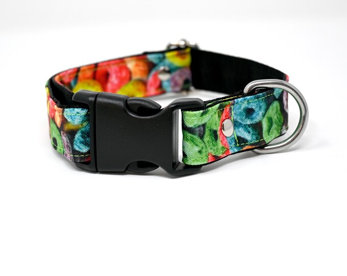 Dog Collar - Fruity Loops